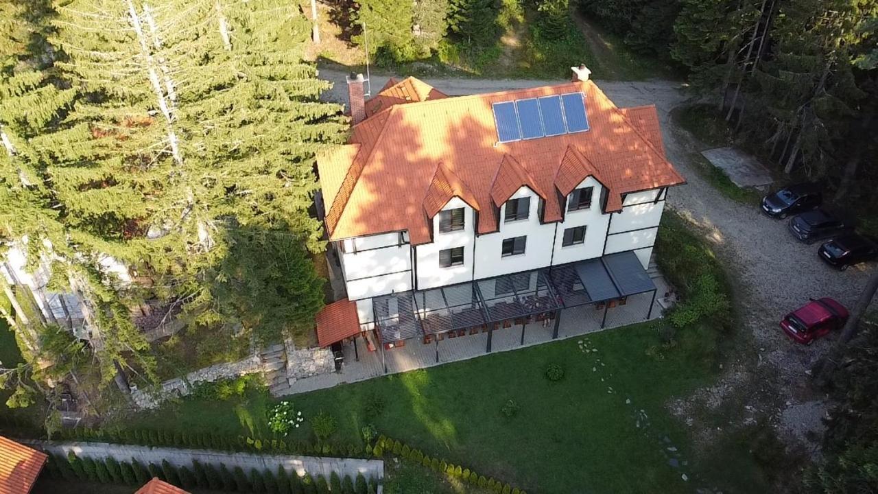 Berghof Eva - Hotel Panichishte Exterior foto