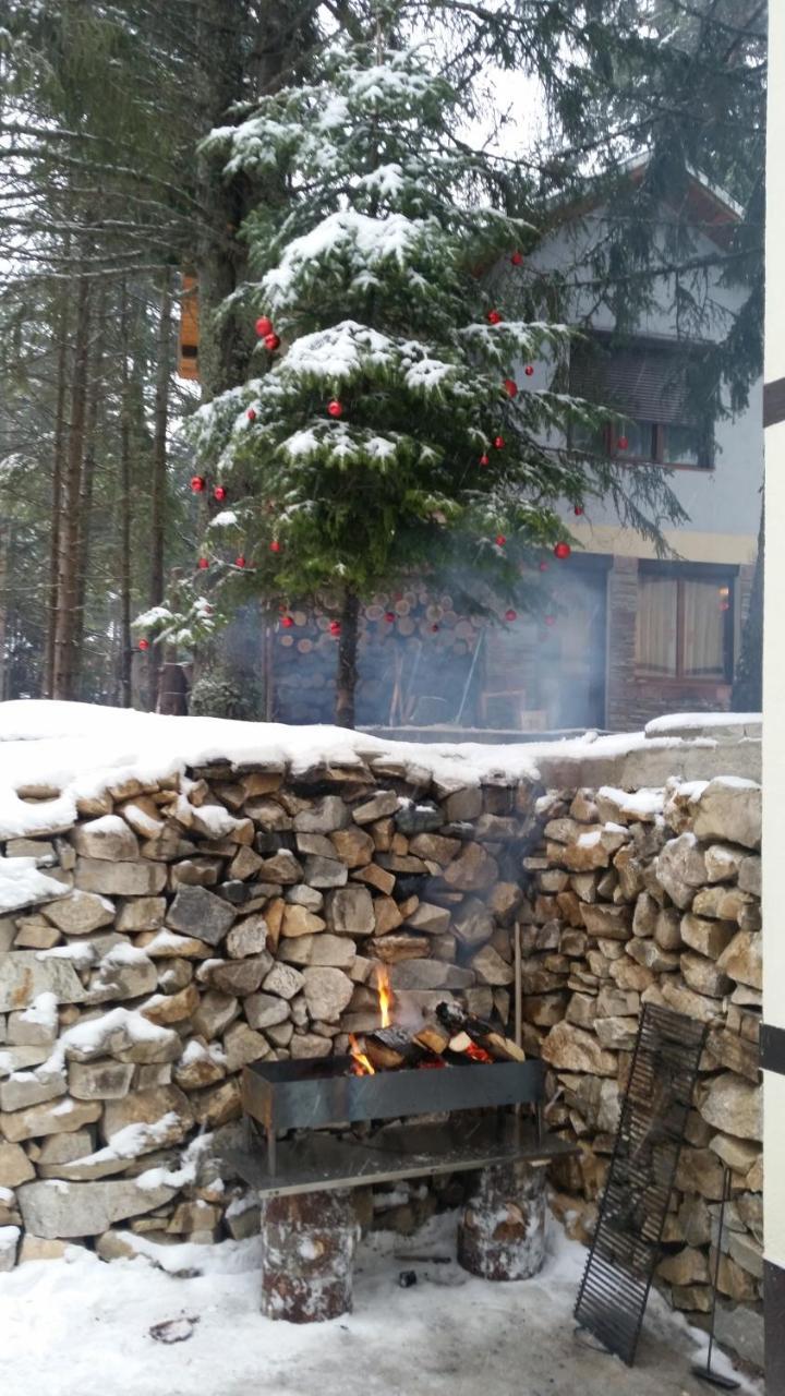 Berghof Eva - Hotel Panichishte Exterior foto